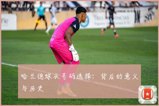 哈兰德球衣号码选择：背后的意义与历史